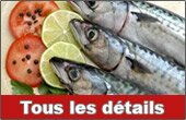 Cliquer pour découvrir les nouveautés 2008